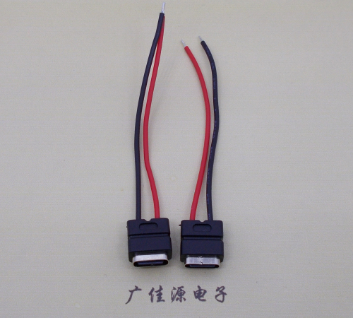 邵阳type c2p防水母座焊线式带线注塑成型带接线端子/不带接线端子充电连接器